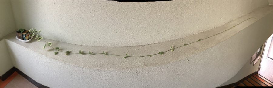 2018-12-27 09.52.43_R